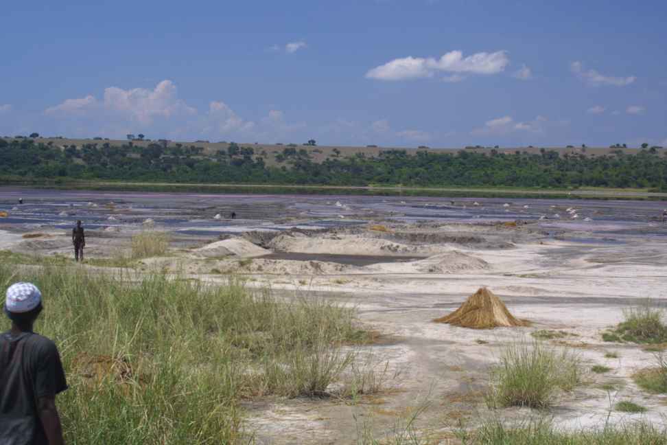 Harvesting Salt