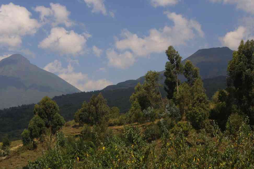 Virunga Volcanos