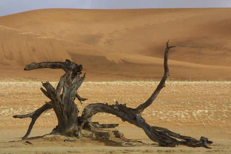 Dead Vlei