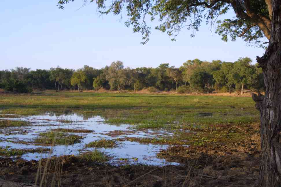 Lagoons within the Park