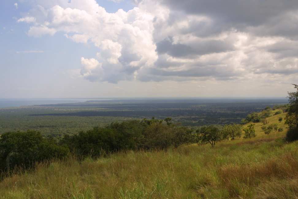 Lake Albert
