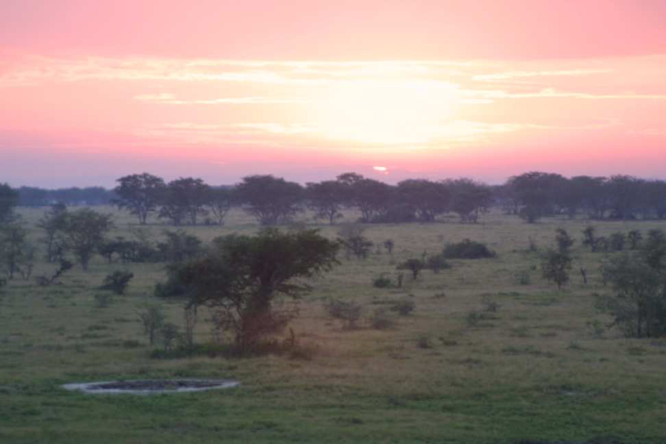 Dawn at QEP