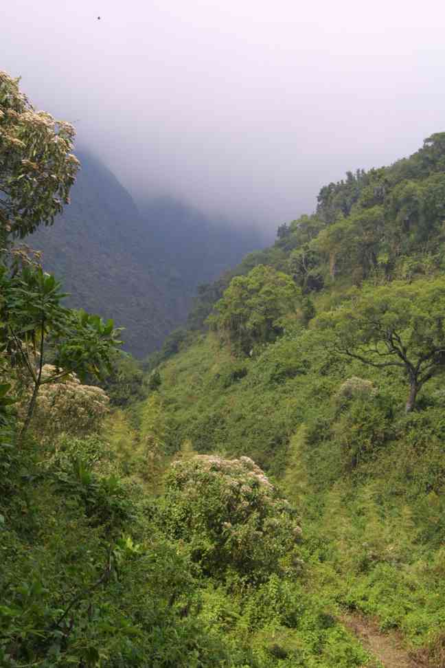 Track leading 
to Rwanda
