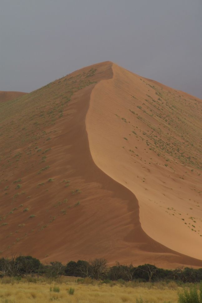 Dune at Sossusvlei